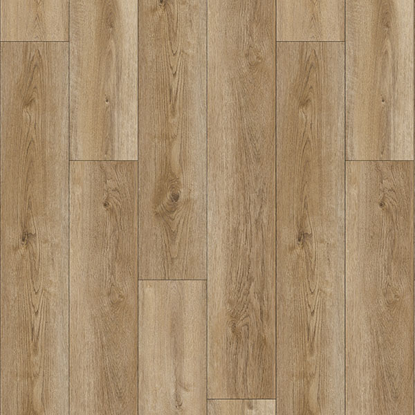 Cedar